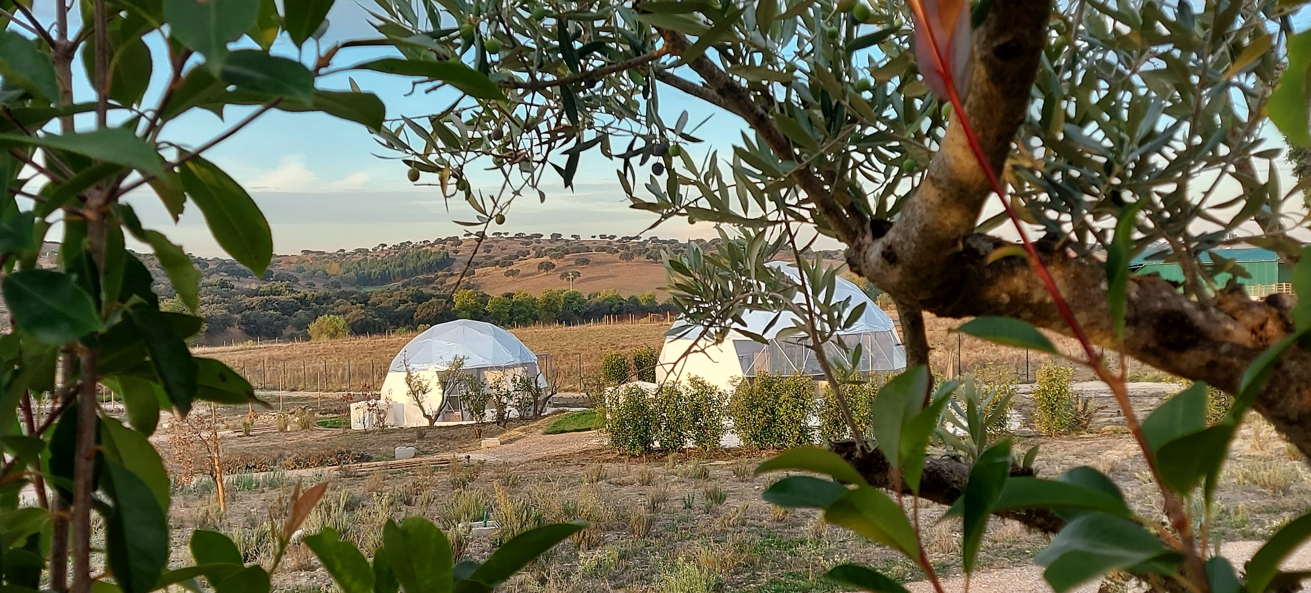 Glamping Skies — fotografia 17