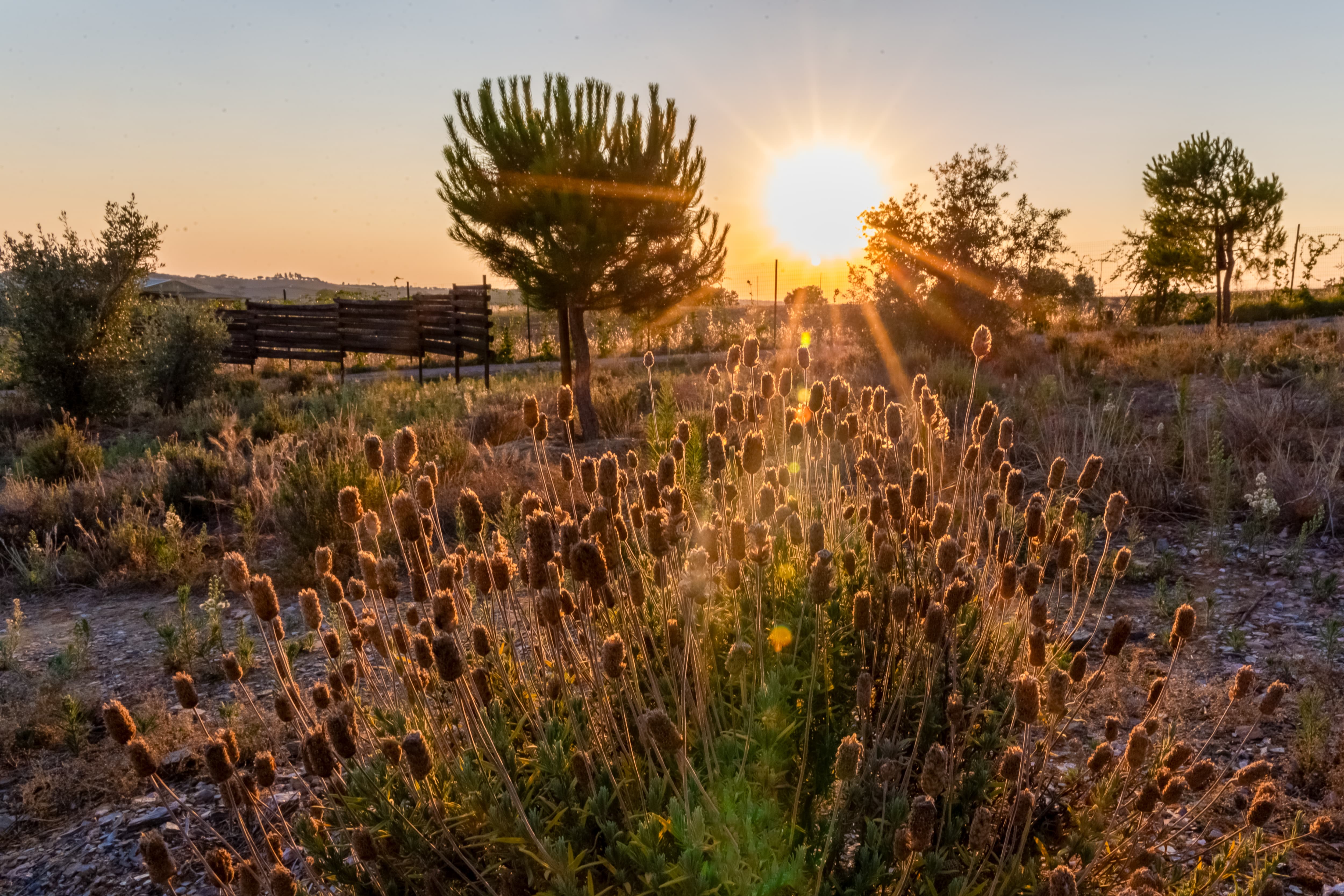 Glamping Skies — fotografia 21