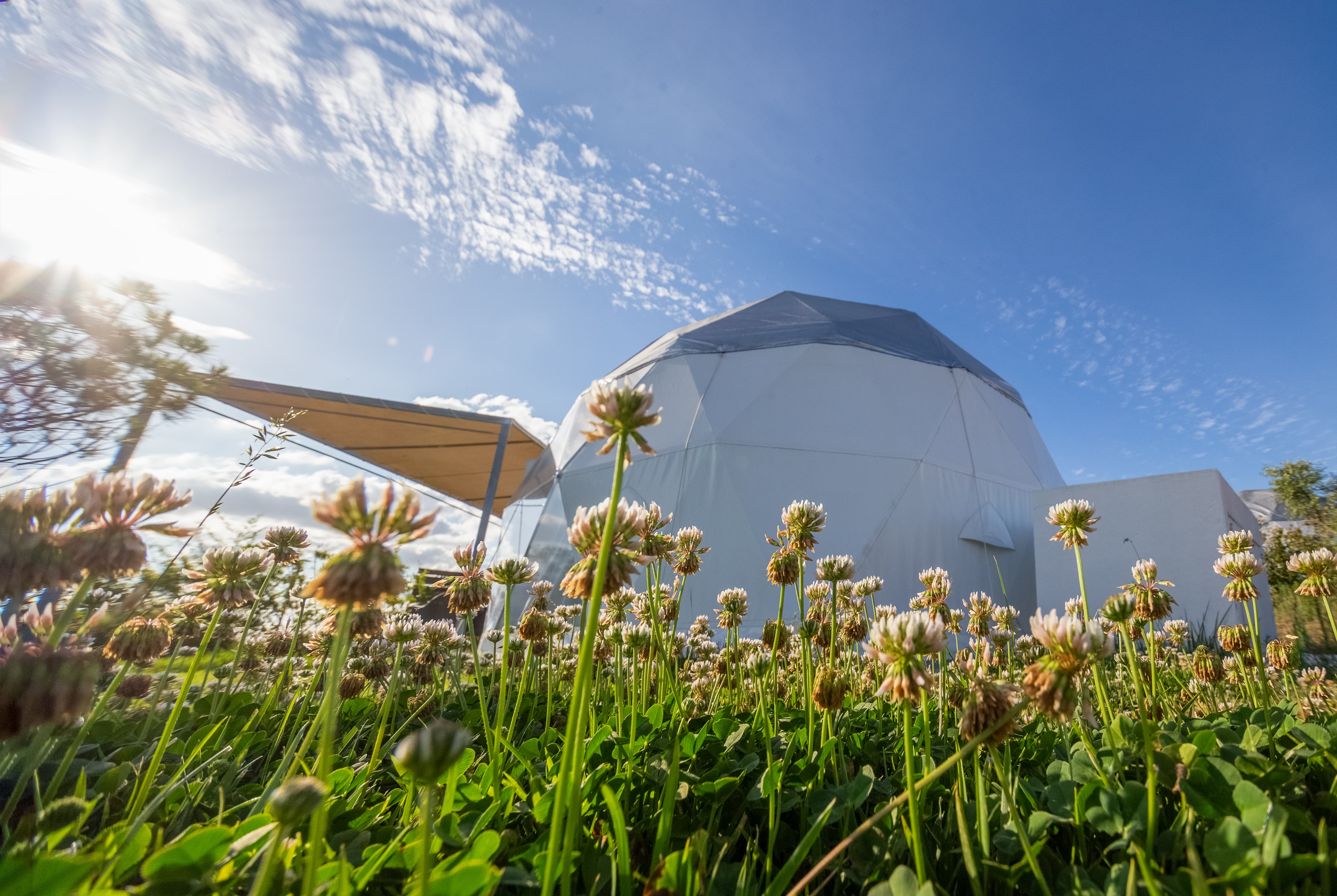 Glamping Skies — fotografia 25